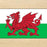 Welsh Dragon Flag - Medieval Replicas