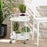 DALLAN MODERN WHITE METAL 2-TIER KITCHEN CART - Medieval Replicas