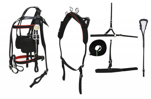 Small to Medium Pony Leather Show Harness Set