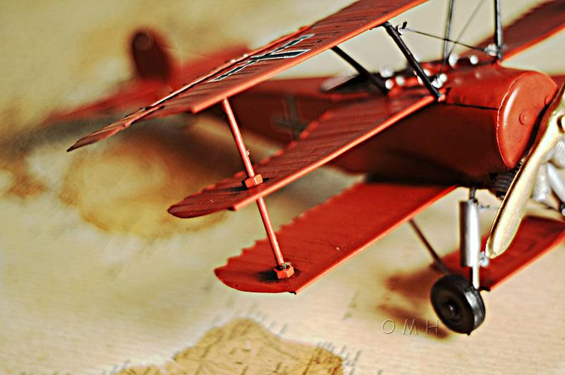 1917 Red Baron Fokker Triplane Aeroplane model - Medieval Replicas