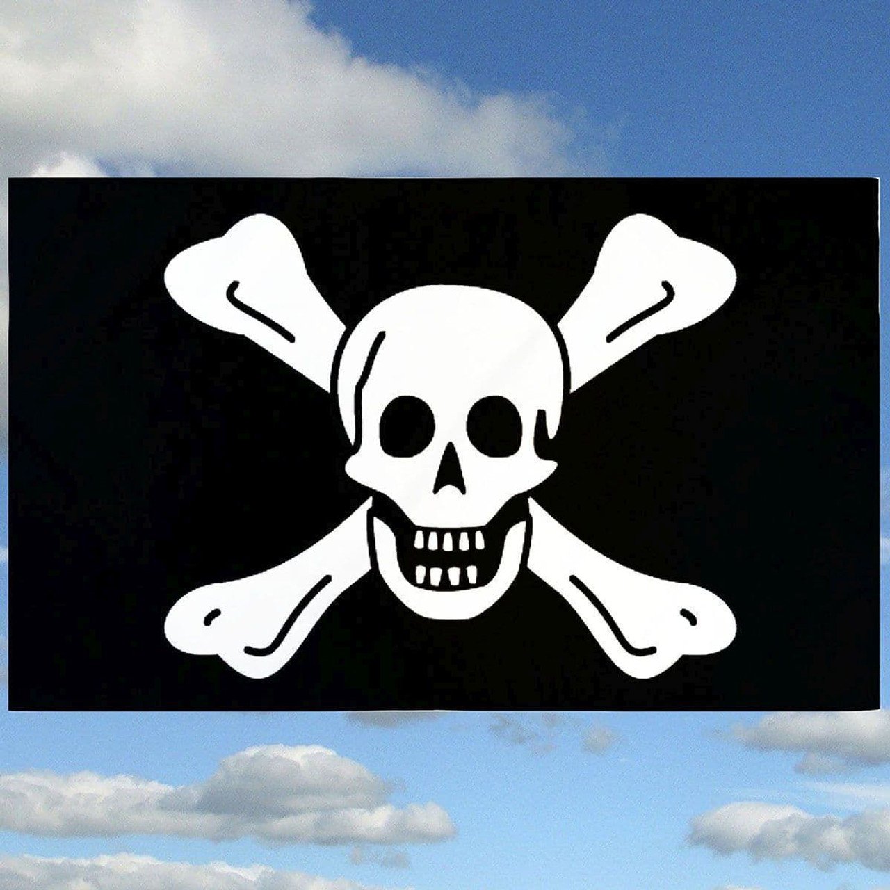 0012487_richard-worley-pirate-flag__23785
