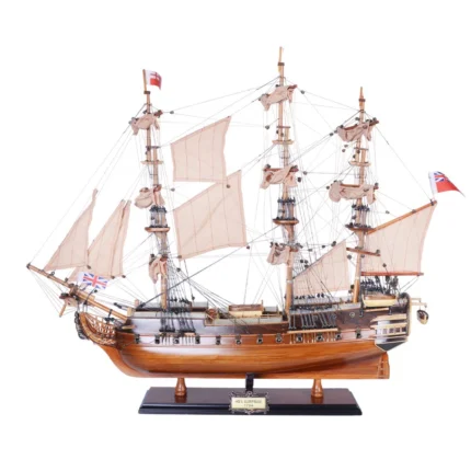 HMS Surprise Medium Admiral Line