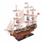 HMS Surprise Medium Admiral Line
