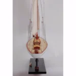 Defender Painted Large Sailboat Schooner Yacht Model 31 Inches Long