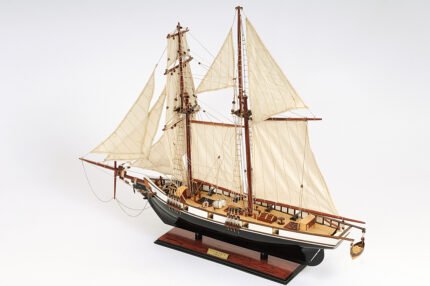Harvey Painted Ship Model Captain Line